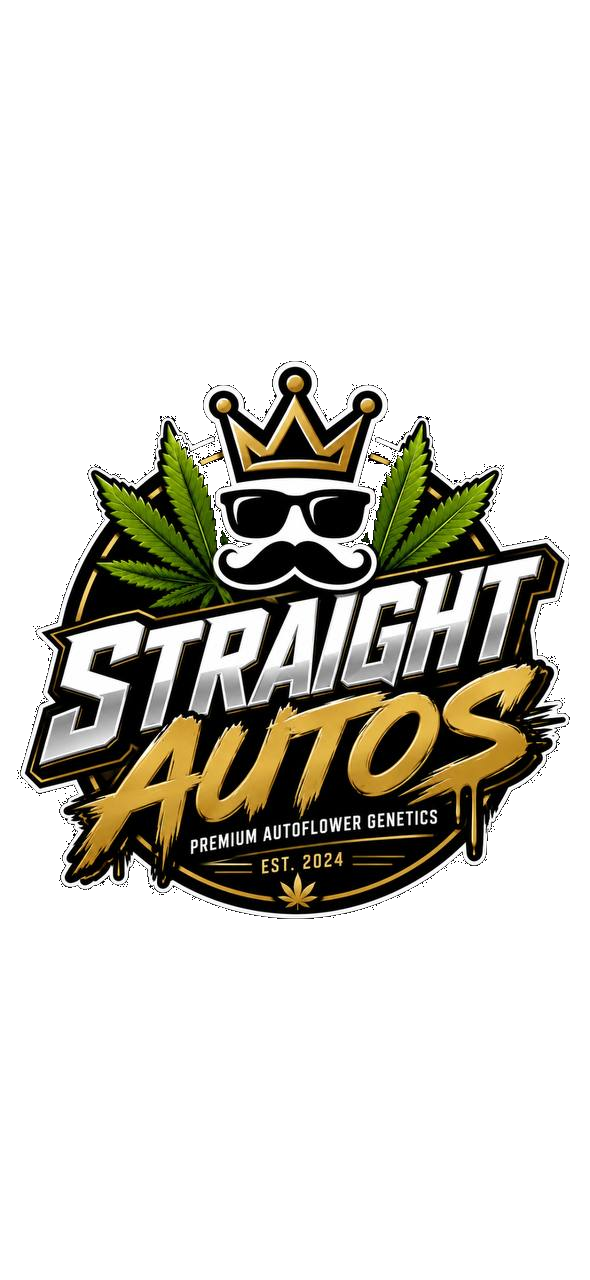 Straight Autos Premium Autoflower Genetics by Gypsynando