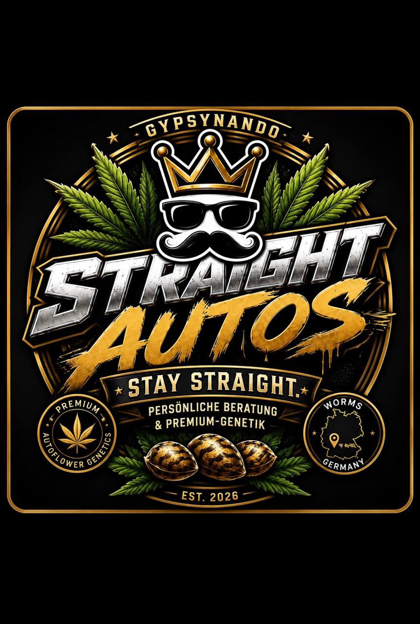 Gypsynando – Straight Autos, Worms